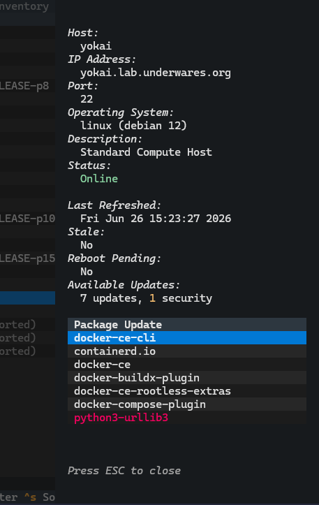 Example of Exosphere TUI Host Details